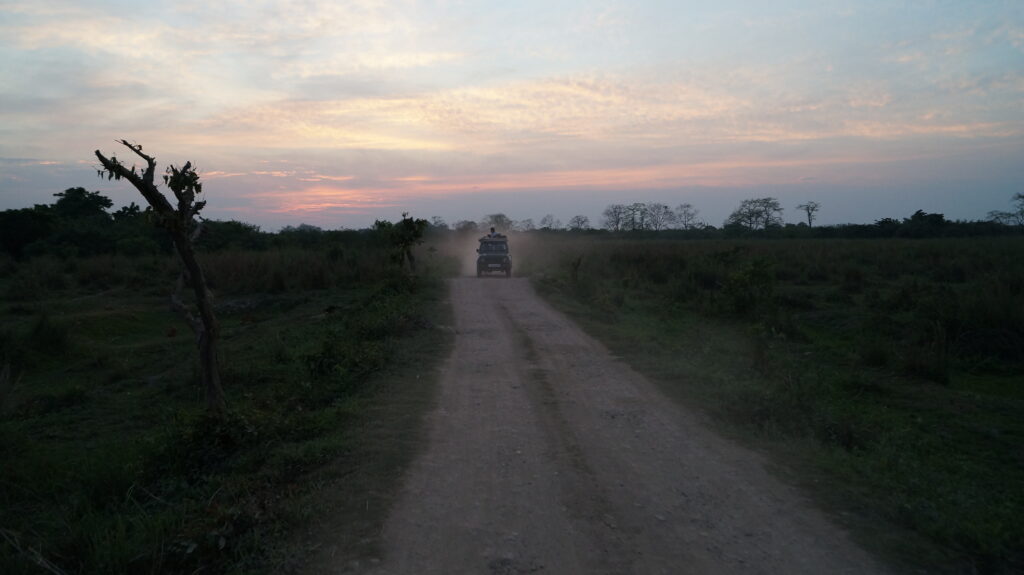 4N/5D Panna Photography Expedition