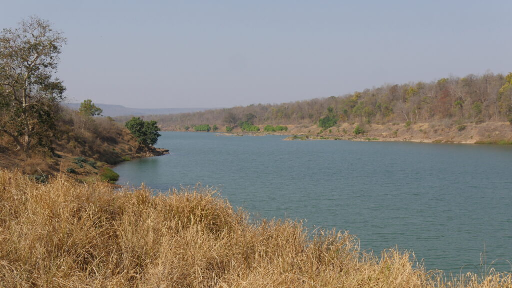 3N/4D Panna Wildlife and Birding Explorer