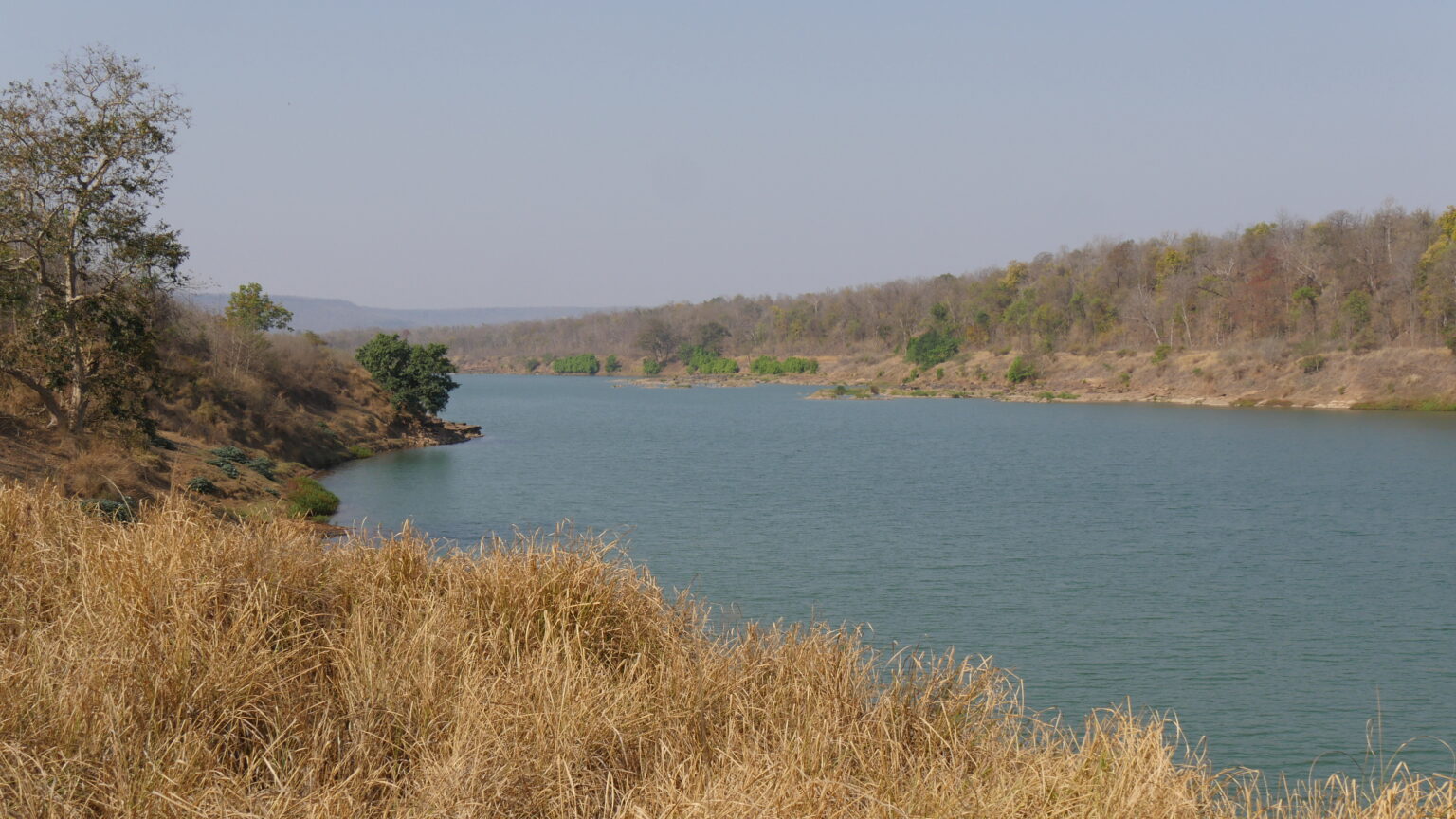 Guided boat sailing on the calm waters of the Ken River near Panna's gharial sanctuary with forested cliffs on both banks