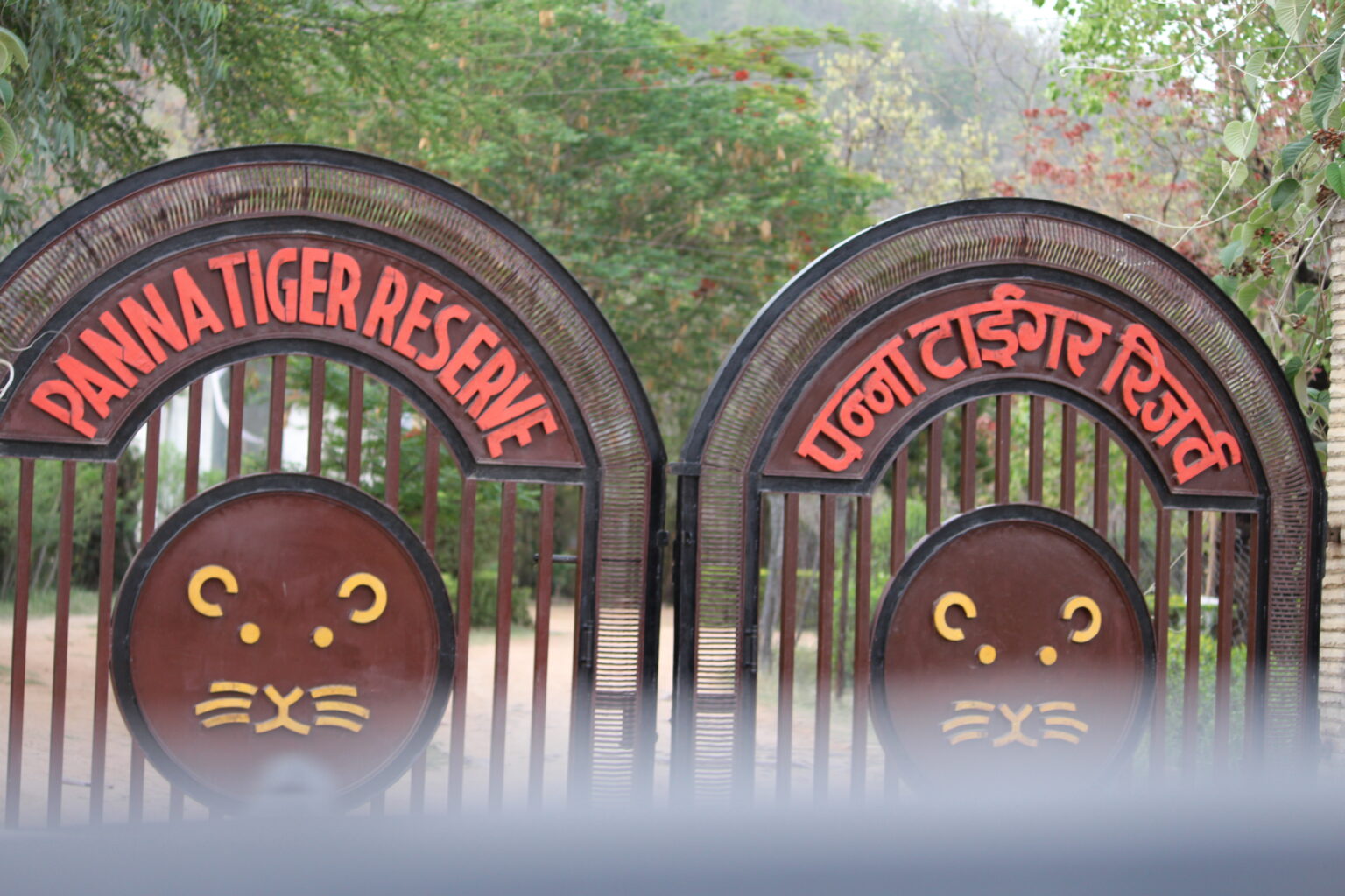 Buffer zone landscapes around the Akola gate, Panna Tiger Reserve