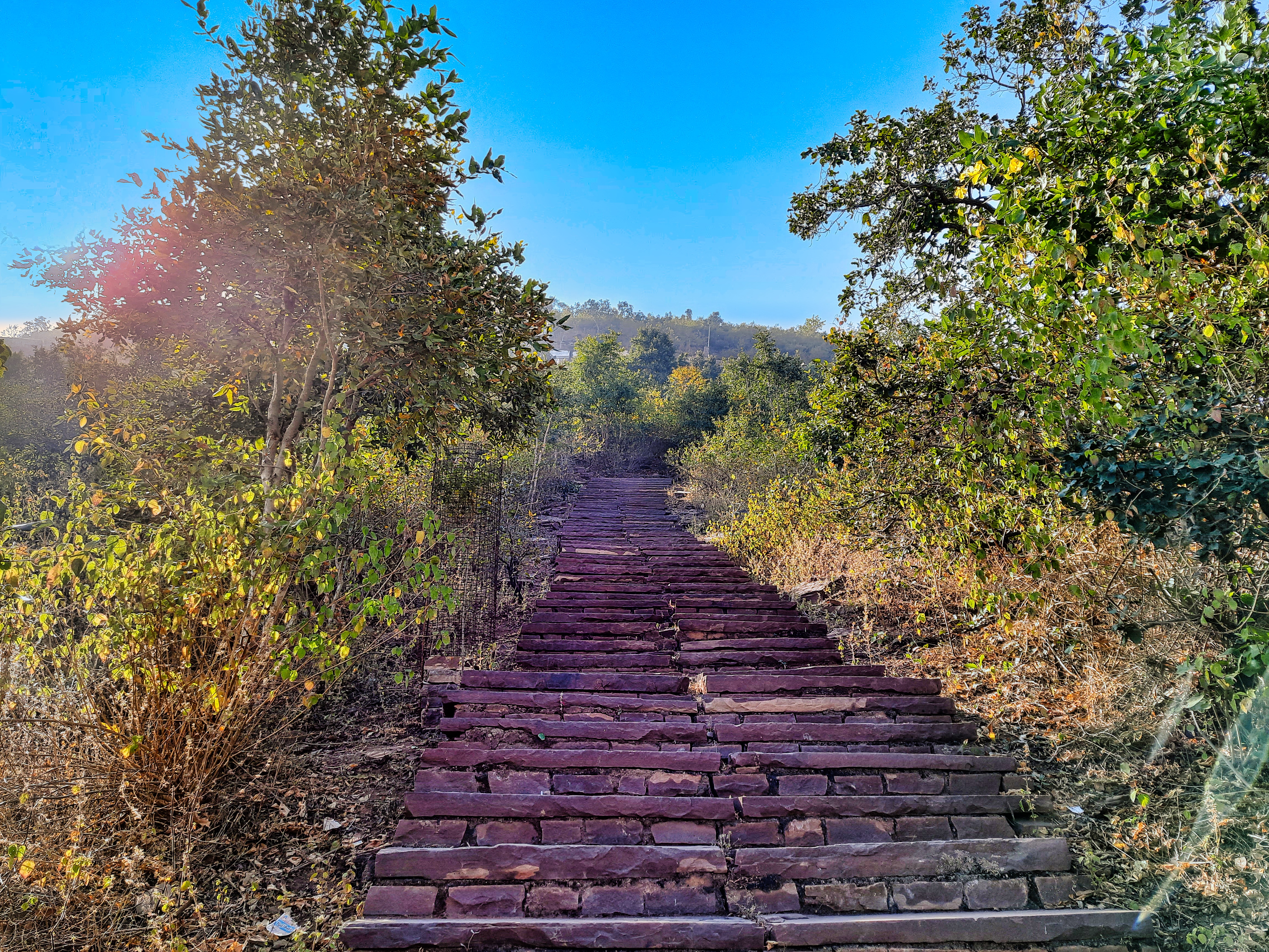 Rural landscape near Nachna in Panna district